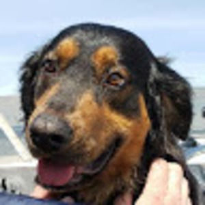 Meet your Posher, Robbin